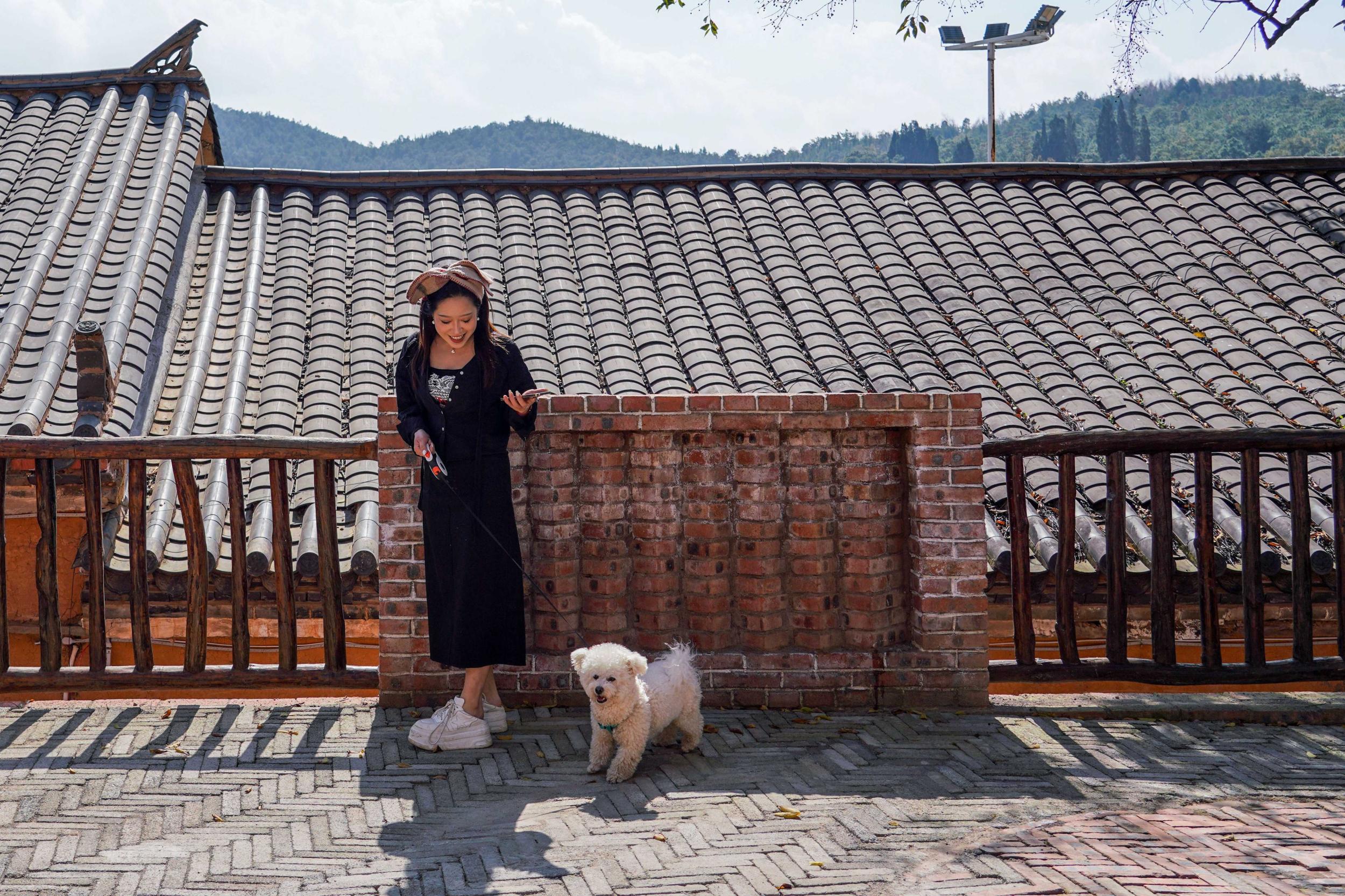 一名旅居客在土瓜冲村里遛狗散步。王静颐 摄